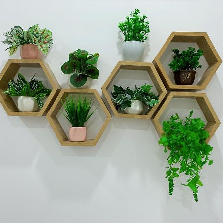 Bee Homestay Туихоа Экстерьер фото
